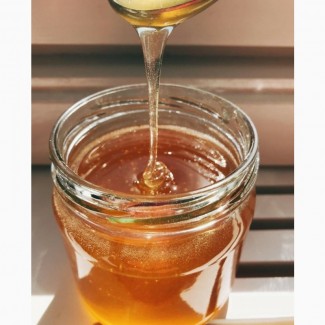 Мед от алтайских производителей (разные сорта)