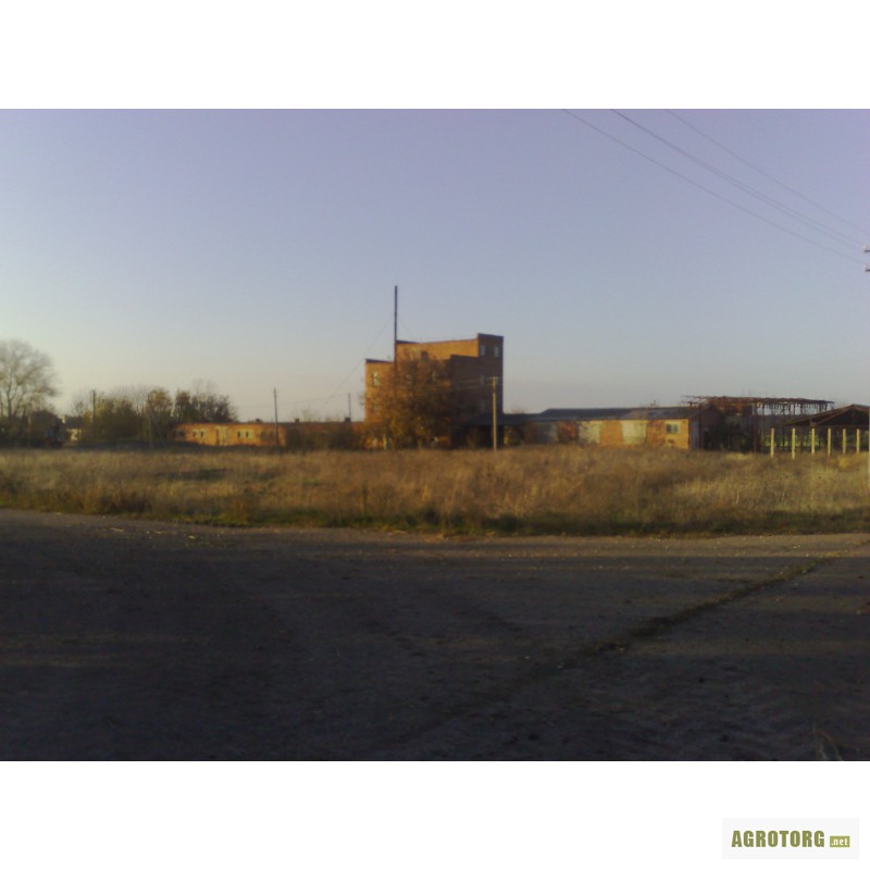 Фото 3. Семеноводческий завод со складами