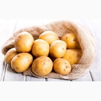 Продаем картофель из хозяйства