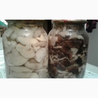 Продаем грибы соленные, маринованные