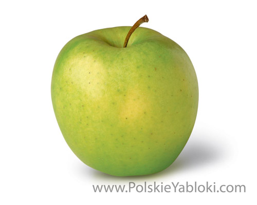 Продажа яблок (Сербия, Молдова)