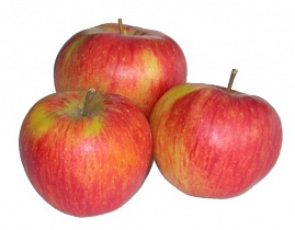 Фото 4. Продажа яблок (Сербия, Молдова)