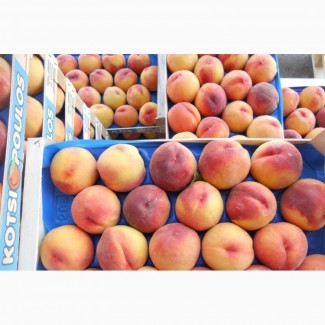 Отличные персики оптом по всей стране