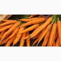 Морковь первый и второй сорт