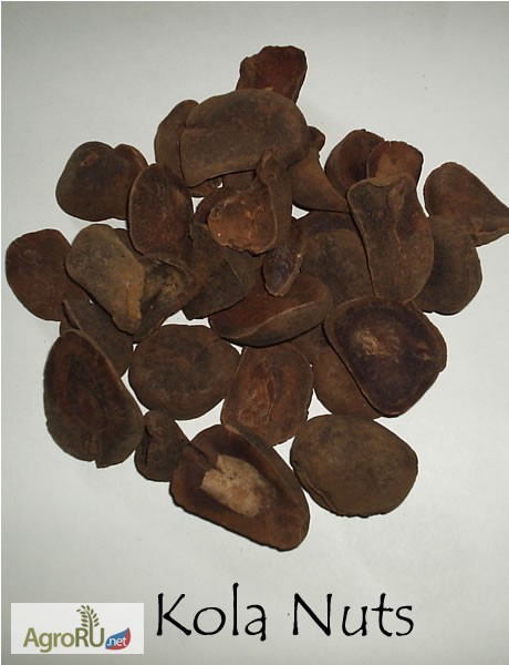 Фото 4. Орех Кола (сушёный молотый). Продукция из Западной Африки. ПРАЙД (Сенегал)