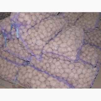 Картофель оптом со склада 10 р./кг