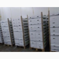 Продаем яблоки оптом от 1т из собственного хозяйства, склад в Волгограде