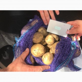 Картофель урожая 2019 г от производителя