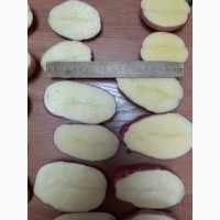 Картофель урожая 2019 г от производителя