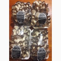 Продаем грибы свежие Вешенки
