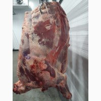 Мясо говядина полутуши Быка 1 категории