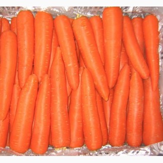 Морковь КНР