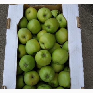 Яблоки урожай 2018 от производителя 60