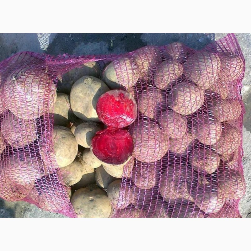 Фото 2. Борщовой набор - картофель, капуста, морковь, свекла, лук от производителя