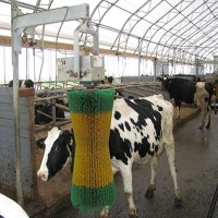Щетка чесалка для коров собственное производство