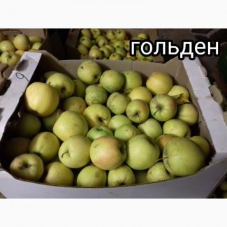 Ростовские яблоки от производителя