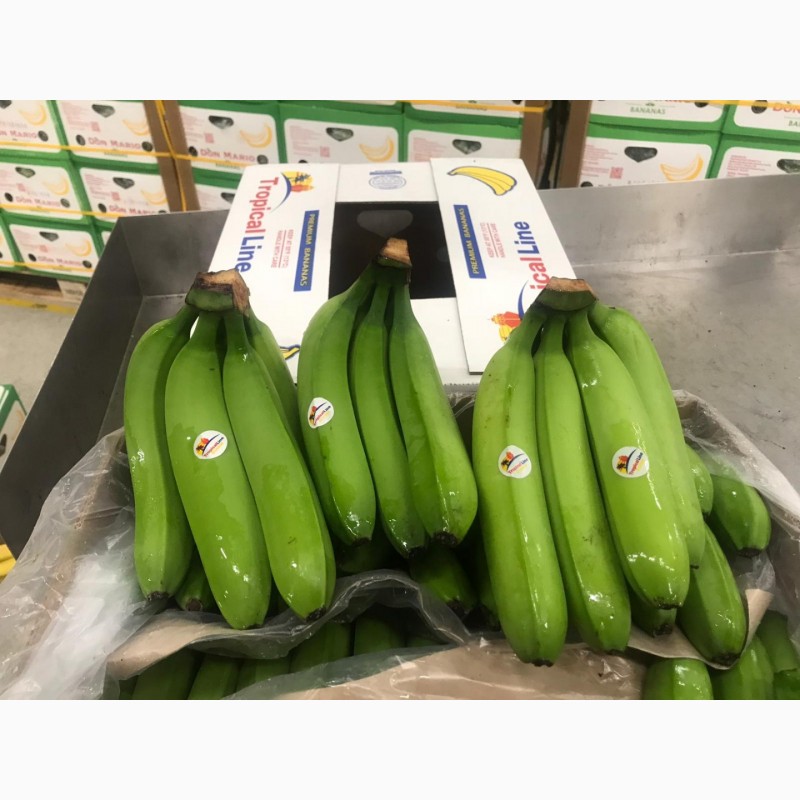 Фото 5. Предлагаем бананы из Эквадора и Коста Рика