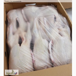 Тушки утки (мясо утиное) от производителя