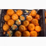 Мандарины Нова, Сацума, томаты Турция