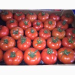 Мандарины Нова, Сацума, томаты Турция