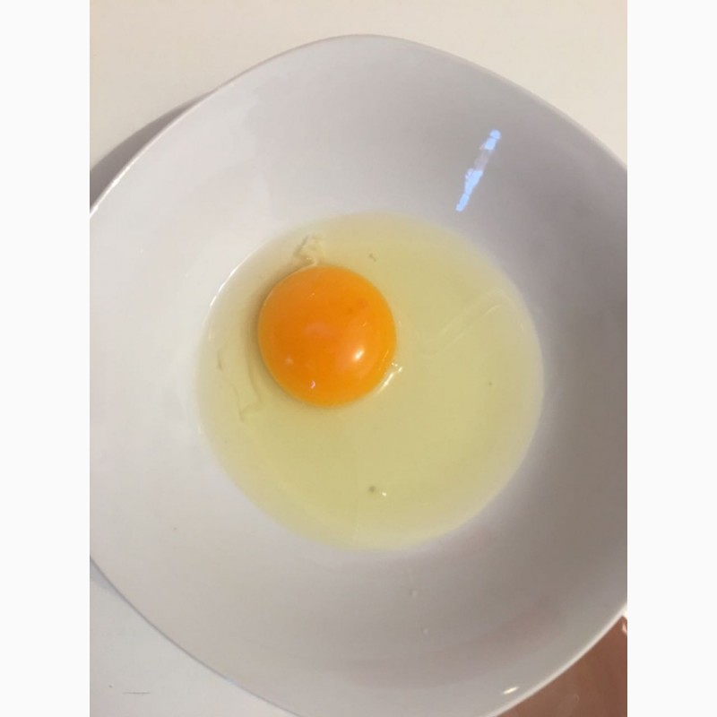 Фото 4. Яйцо куриное