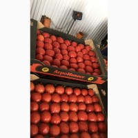 Продаем помидоры тепличные оптом от фуры, договор с производителем, оплата любая