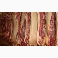 Свинина оптом от производителя 130 р./кг