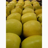 Продаем яблоки Молдавские от производителя в Брянске