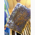 Продам пчелопакеты карпатка в Абакане доставка бесплатно