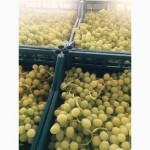 Прямые поставки фруктов из Турции