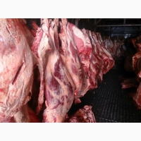 Мясо-говядина порода СИММЕНТАЛЬСКАЯ полутушах