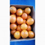 Апельсины напрямую от производителя Египет, Турция