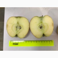 Яблоки из Краснодарского края оптом