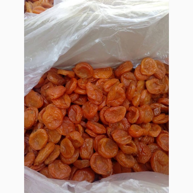 Фото 5. Сухофрукты и орехи из Узбекистана
