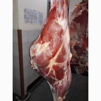 Мясо быка в полутушах в Москве