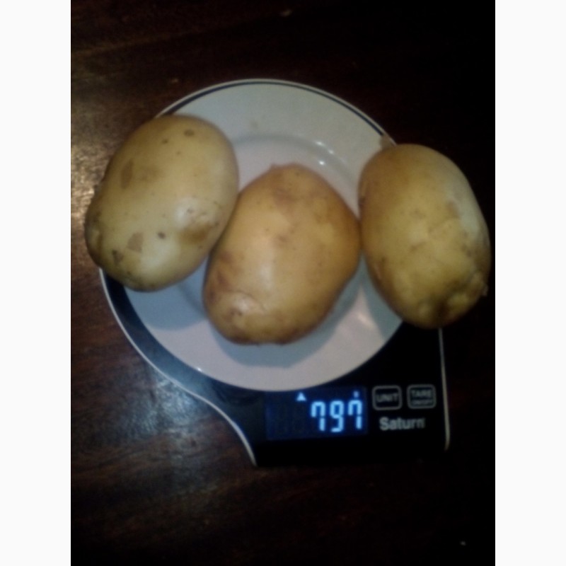 Фото 7. Продам картофель урожай 2020 года