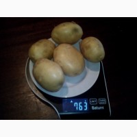 Продам картофель урожай 2020 года