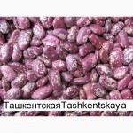 Продаём экологически чистую фасоль из Киргизии