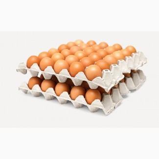 Яйца инкубационное куриные Город Домодедово