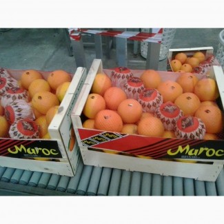 Свежие апельсины, Марокко