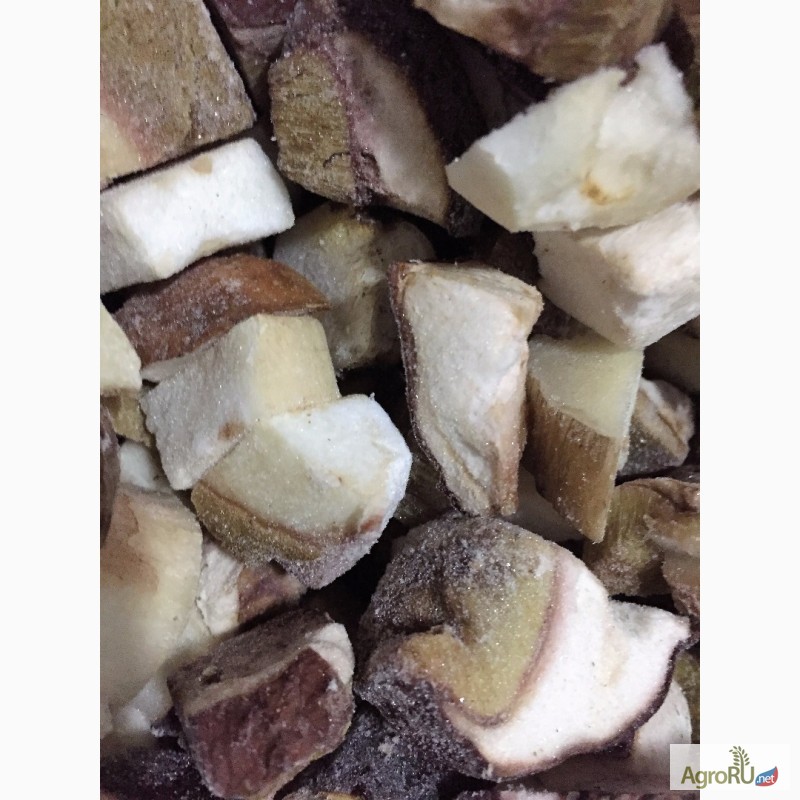 Фото 3. Продам грибы белые замороженные кубики