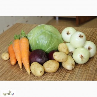 Морковь, капуста, свекла, картофель