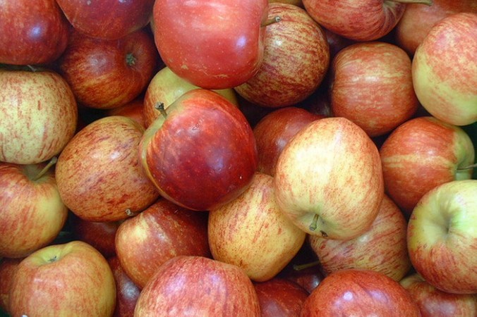 Фото 4. Яблоки оптом, калибр 65+, оптом от производителя, 71 руб./кг