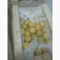 Продам клубнику, абрикосы и черешню из Узбекистана Урожай 2018