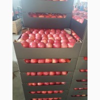 Купим томаты, картофель, лук, чеснок, яблоки от 20 тонн партия
