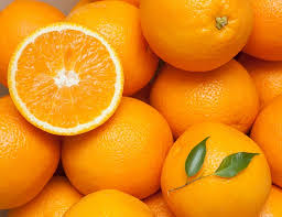 Апельсины ОПТОМ от импортера