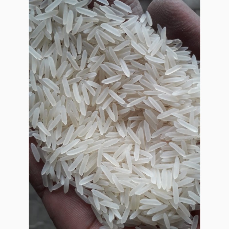 Фото 3. Рис на Экспорт от производителя в Индии