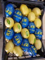 Фото 3. Лимон из Турции
