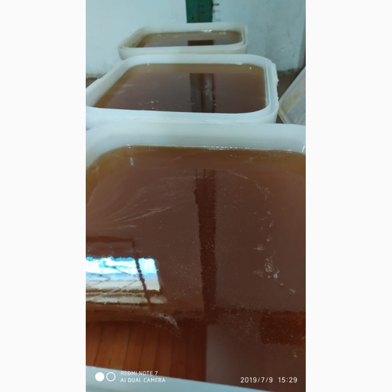 Фото 3. ООО Сантарин, реализует мёд с Алтайского края, оптом.А также продукты пчеловодства