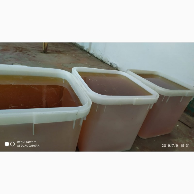 Фото 4. ООО Сантарин, реализует мёд с Алтайского края, оптом.А также продукты пчеловодства